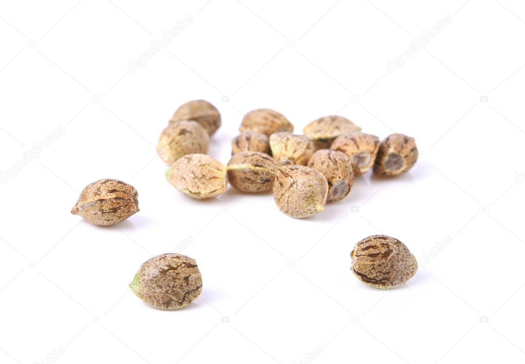 Group of Cannabis seeds, Marijuana seeds for planting isolated on white background.