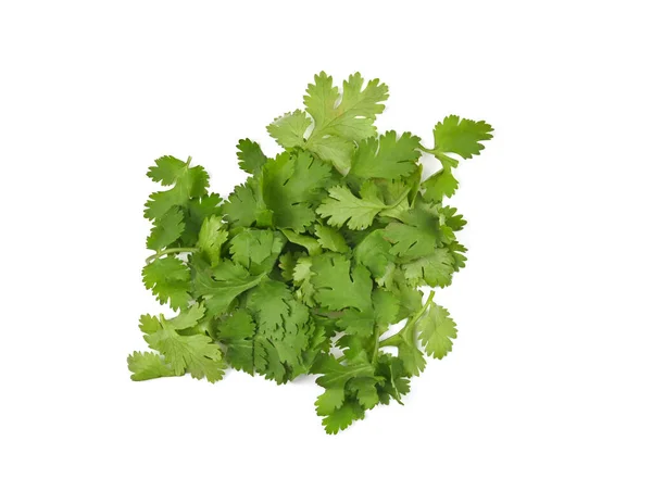 Folhas Salsa Picadas Ingredientes Para Cozinhar Isolar Fundo Branco Vista — Fotografia de Stock