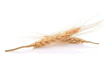 Beyaz arka planda izole edilmiş iki arpa taneciği