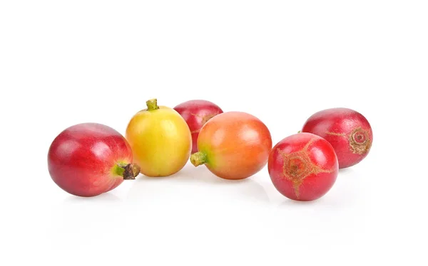 鲜红的咖啡豆 成熟的和未成熟的浆果 背景为白色 — 图库照片