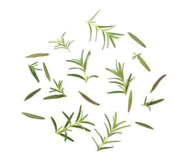 Biberiye beyaz arkaplanda izole edildi, Üst görünüm.