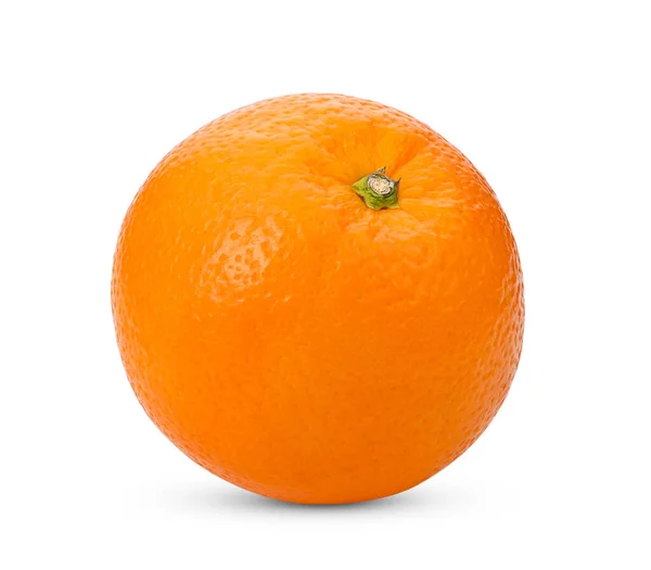 Valencia Orange Navel Orange Isolated White Background Full Depth Field — Stock Photo, Image