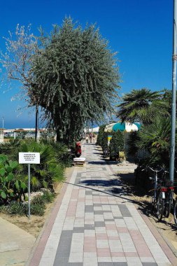 Rimini 'ye kumsala gidiyorum.