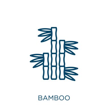 Bambu ikonu. Beyaz arkaplanda izole edilmiş ince çizgisel bambu dış hat ikonu. Çizgi vektörü bambu işareti, ağ ve mobil sembolü