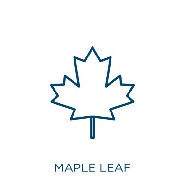 Akçaağaç yaprağı ikonu. Beyaz arkaplanda izole edilmiş ince doğrusal akçaağaç yaprağı ana hatları simgesi. Çizgi vektör akçaağaç yaprağı işareti, ağ ve mobil sembolü