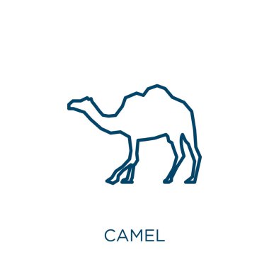 Deve ikonu. Beyaz zemin üzerinde izole edilmiş ince doğrusal deve ana hatları simgesi. Çizgi vektör deve işareti, ağ ve mobil sembolü