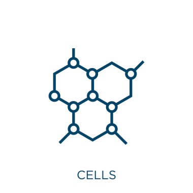 Hücre simgesi. İnce doğrusal hücreler beyaz arkaplanda izole edilmiş bir ikon çizer. Çizgi vektör hücreleri işareti, ağ ve mobil sembolü