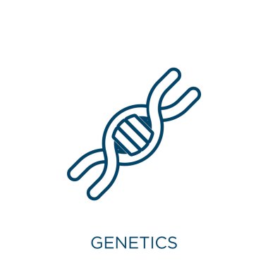 Genetik ikonu. Beyaz arkaplanda izole edilmiş ince doğrusal genetik taslak ikonu. Çizgi vektör genetik işareti, ağ ve mobil sembolü