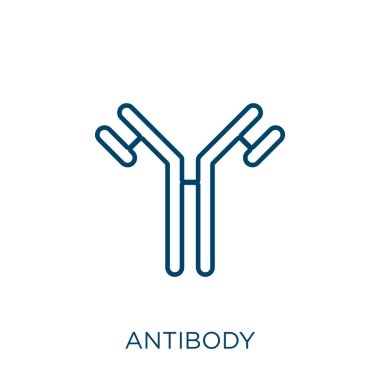 antikor simgesi. Beyaz arkaplanda izole edilmiş ince doğrusal antikor ana hatları simgesi. Çizgi vektör antikor işareti, ağ ve mobil sembolü