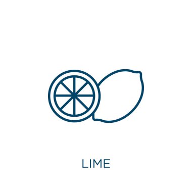 limon ikonu. Beyaz arkaplanda izole edilmiş ince doğrusal kireç ana hatları simgesi. Çizgi vektör kireç işareti, ağ ve mobil sembolü