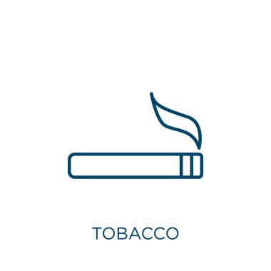 Tütün ikonu. Beyaz arkaplanda izole edilmiş ince doğrusal tütün ana hatları simgesi. Çizgi vektör tütün işareti, ağ ve mobil sembolü