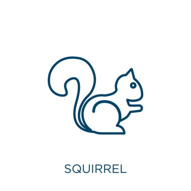 Sincap ikonu. Beyaz arkaplanda izole edilmiş ince doğrusal sincap taslak ikonu. Çizgi vektör sincap işareti, ağ ve mobil sembolü