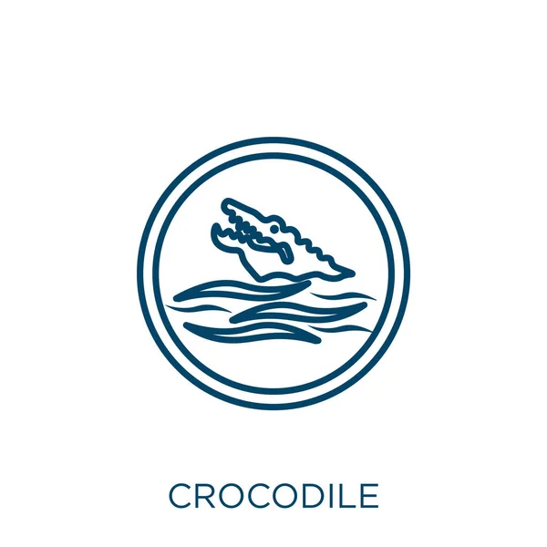 Icône Crocodile Mince Icône Contour Linéaire Crocodile Isolé Sur Fond — Image vectorielle