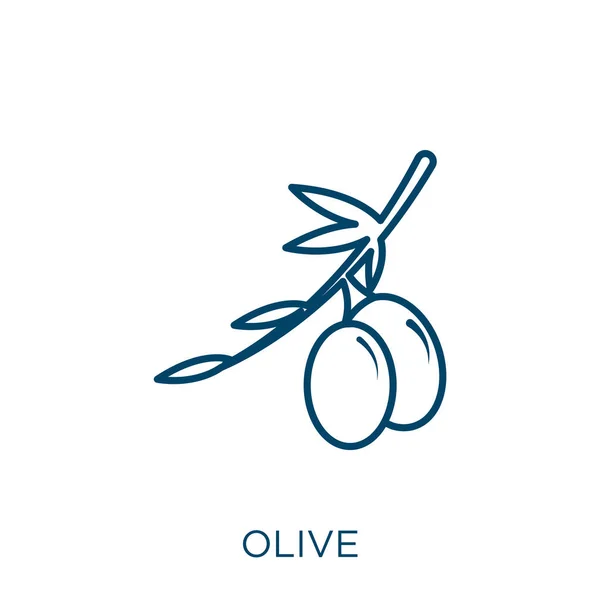 Olive Icon Thin Linear Olive Outline Icon Isolated White Background — Stock Vector