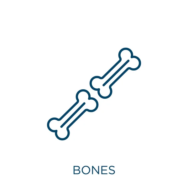 骨のアイコン 白い背景に孤立した細い線状の骨の輪郭アイコン ラインベクトルの骨記号 ウェブとモバイル用のシンボル — ストックベクタ