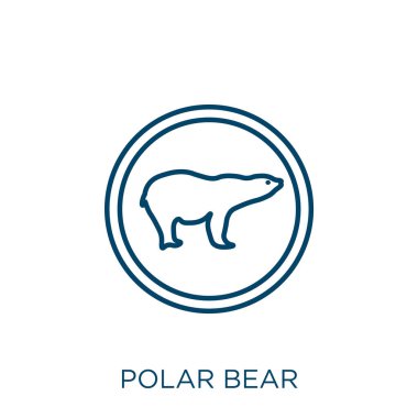 Kutup ayısı simgesi. Beyaz zemin üzerinde izole edilmiş ince doğrusal kutup ayısı ana hatları simgesi. Çizgi vektör kutup ayısı işareti, ağ ve mobil sembolü