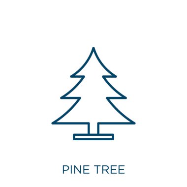 Çam ağacı simgesi. Beyaz arkaplanda izole edilmiş ince doğrusal çam ağacı ana hatları simgesi. Çizgi vektör çam ağacı işareti, ağ ve mobil sembolü