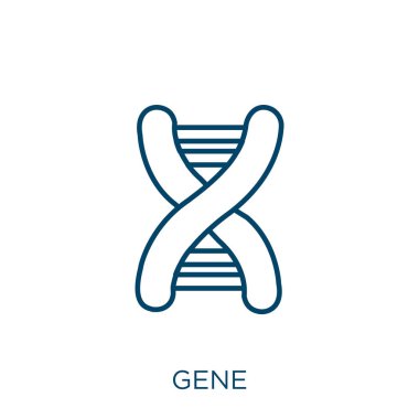 Gen simgesi. Beyaz arkaplanda izole edilmiş ince doğrusal gen ana hatları simgesi. Çizgi vektör işareti, ağ ve mobil için sembol