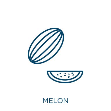 Kavun ikonu. Beyaz arkaplanda izole edilmiş ince doğrusal kavun taslak simgesi. Çizgi vektör kavun işareti, ağ ve mobil sembolü