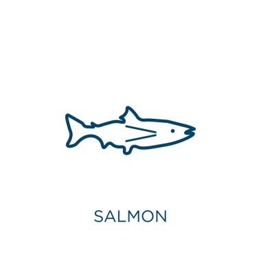 Somon ikonu. Beyaz zemin üzerinde izole edilmiş ince doğrusal somon ana hatları simgesi. Çizgi vektör somon işareti, ağ ve mobil sembolü