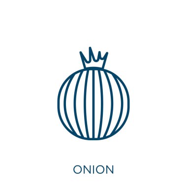 Soğan ikonu. Beyaz zemin üzerinde izole edilmiş ince doğrusal soğan dış hat ikonu. Çizgi vektör soğan işareti, ağ ve mobil sembolü