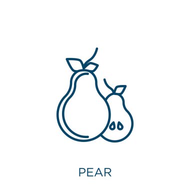 Armut ikonu. Beyaz zemin üzerinde izole edilmiş ince doğrusal armut çizgisi simgesi. Çizgi vektör armut işareti, ağ ve mobil sembolü