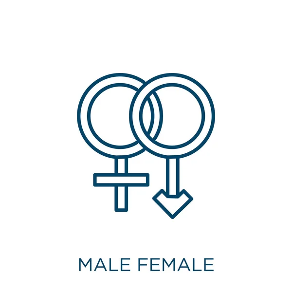 Male Female Icon Thin Linear Male Female Outline Icon Isolated — Stock Vector