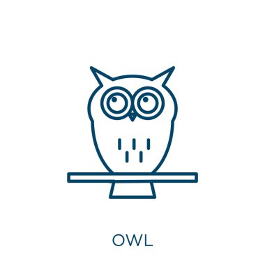 Baykuş simgesi. Beyaz arkaplanda ince doğrusal baykuş taslak simgesi izole edildi. Çizgi vektör baykuşu işareti, ağ ve mobil sembolü