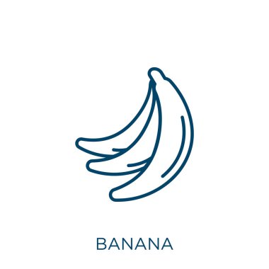 Muz ikonu. Beyaz zemin üzerinde izole edilmiş ince doğrusal muz taslak simgesi. Çizgi vektör işareti, ağ ve mobil sembolü