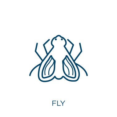 Sinek ikonu. Beyaz arkaplanda izole edilmiş ince doğrusal sineklik taslak simgesi. Çizgi vektör sineği işareti, ağ ve mobil sembolü