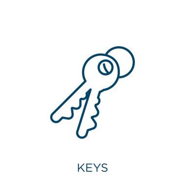 keys icon. Thin linear keys outline icon isolated on white background. Line vector keys sign, symbol for web and mobile