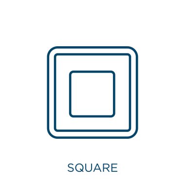 square icon. Thin linear square outline icon isolated on white background. Line vector square sign, symbol for web and mobile