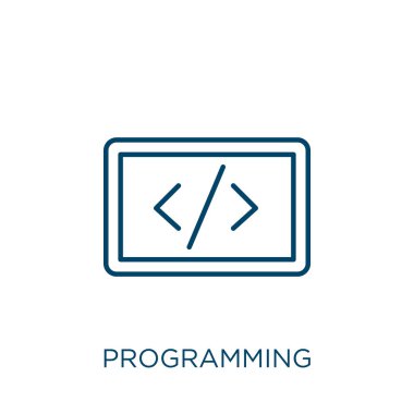 programming icon. Thin linear programming outline icon isolated on white background. Line vector programming sign, symbol for web and mobile