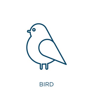 bird icon. Thin linear bird outline icon isolated on white background. Line vector bird sign, symbol for web and mobile