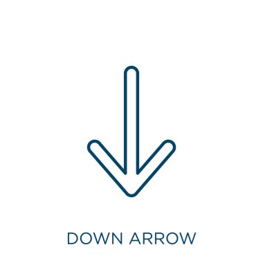 down arrow icon. Thin linear down arrow outline icon isolated on white background. Line vector down arrow sign, symbol for web and mobile