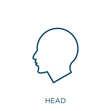 head icon. Thin linear head outline icon isolated on white background. Line vector head sign, symbol for web and mobile