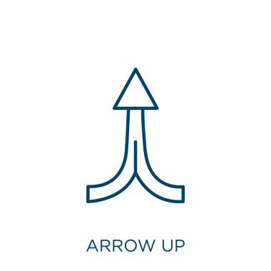 arrow up icon. Thin linear arrow up outline icon isolated on white background. Line vector arrow up sign, symbol for web and mobile