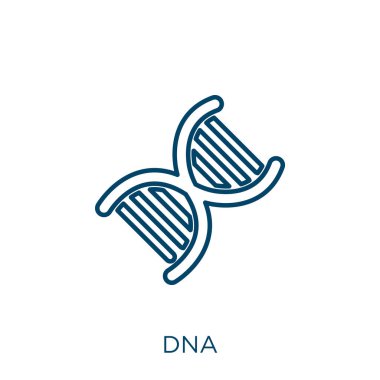 dna icon. Thin linear dna outline icon isolated on white background. Line vector dna sign, symbol for web and mobile