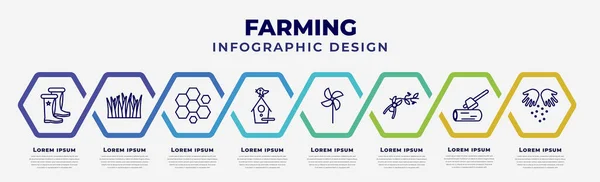 Vector Infographic Design Template Icons Options Steps Infographic Farming Concept — Archivo Imágenes Vectoriales