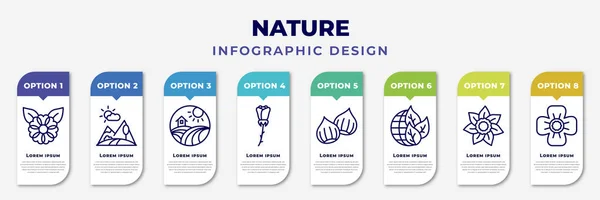 infographic template with icons and 8 options or steps. infographic for nature concept. included flower, landscape, field, rose, chestnut, eco globe, gardenia, poppy editable vector.