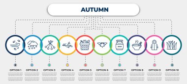 vector infographic template with icons and 10 options or steps. infographic for autumn concept. included wind, rain, rowan, tree branch, picnic basket, bat, jam, soup, grass.