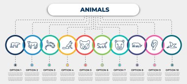 vector infographic template with icons and 10 options or steps. infographic for animals concept. included polar bear, puma, copperhead, fox sitting, cougar, kitten, cheetah, rhinoceros, albatross.