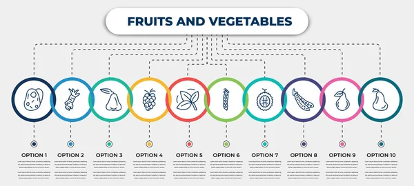 Vektorová Infografická Šablona Ikonami Možnostmi Nebo Kroky Infographic Pro Koncept — Stockový vektor