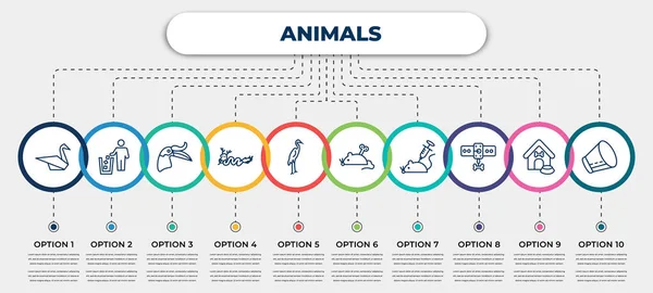 Vector Infographic Template Icons Options Steps Infographic Animals Concept Included — Image vectorielle
