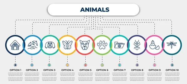 Vector Infographic Template Icons Options Steps Infographic Animals Concept Included — Image vectorielle