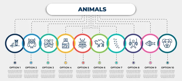Vector Infographic Template Icons Options Steps Infographic Animals Concept Included — Image vectorielle