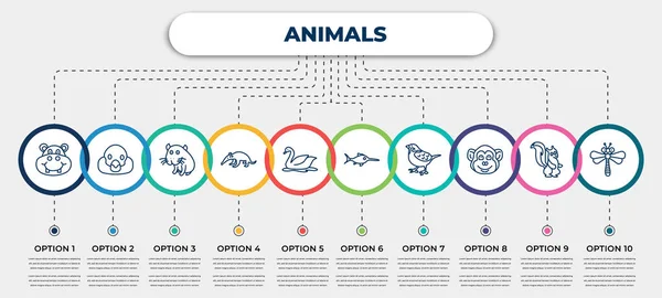 Vector Infographic Template Icons Options Steps Infographic Animals Concept Included — Image vectorielle