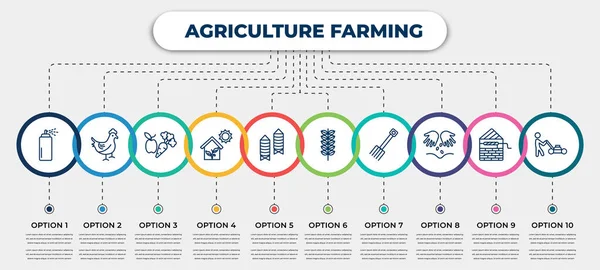 Vector Infographic Template Icons Options Steps Infographic Agriculture Farming Concept — Vector de stock