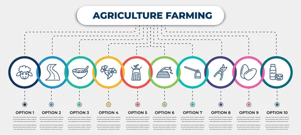 Vector Infographic Template Icons Options Steps Infographic Agriculture Farming Concept — Archivo Imágenes Vectoriales