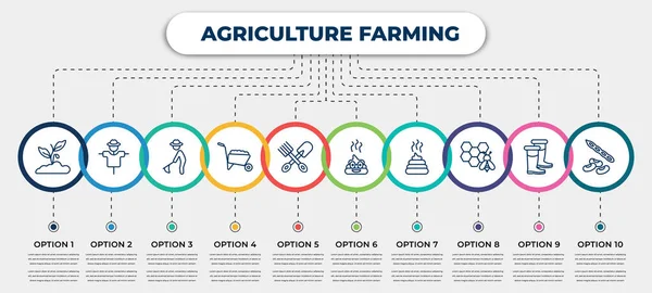 Vector Infographic Template Icons Options Steps Infographic Agriculture Farming Concept — Stockový vektor